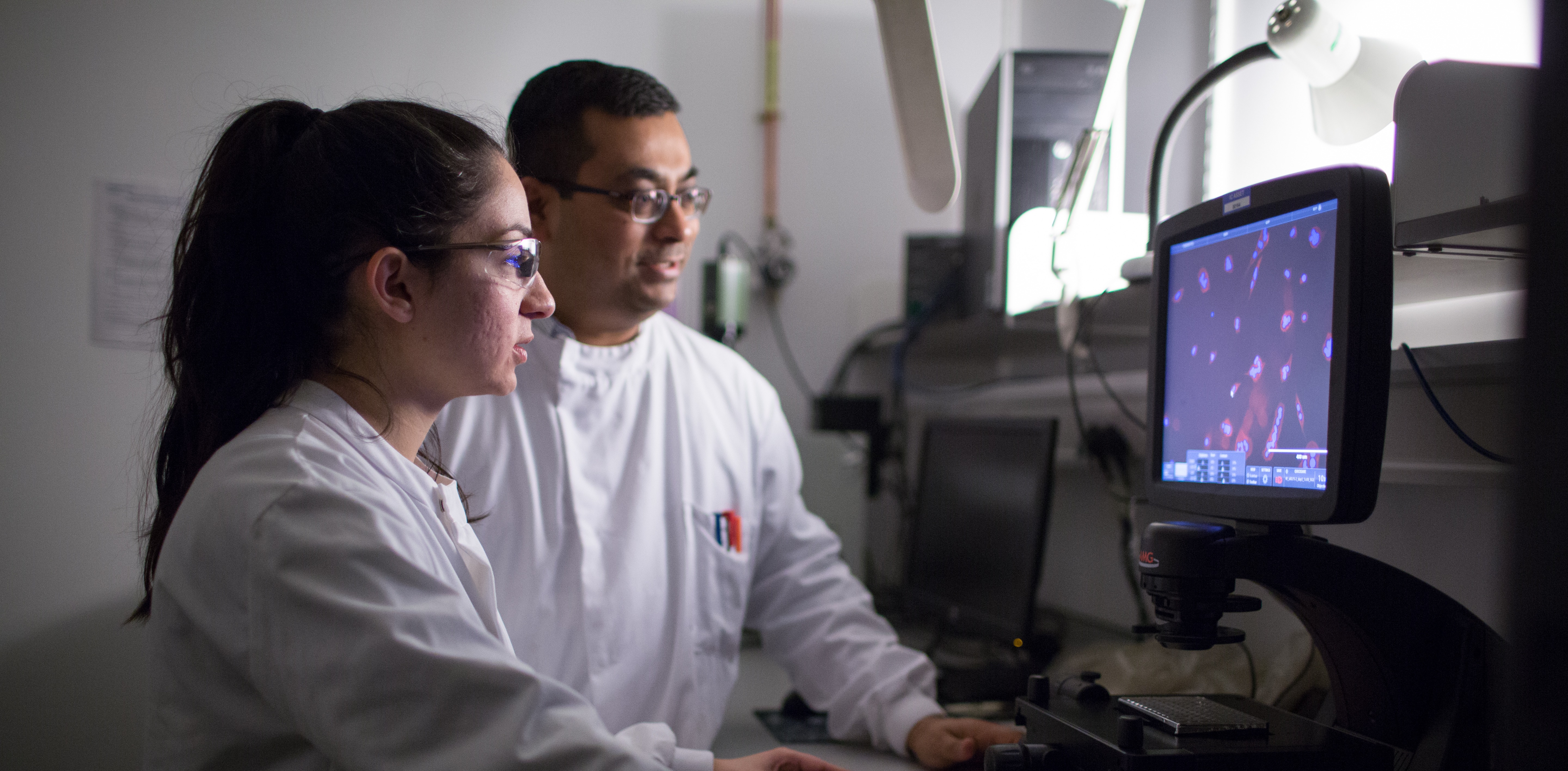 Training the Next Generation of Convergence Scientists